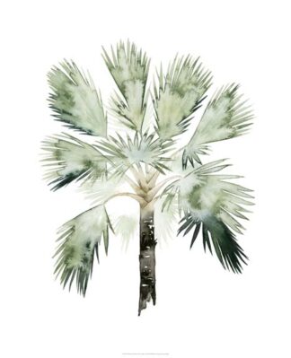 Watercolor Palm of the Tropics I