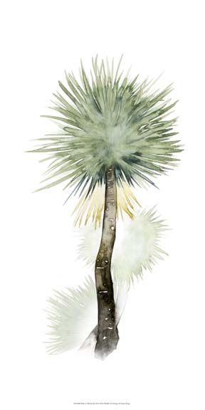 Palm in Watercolor II