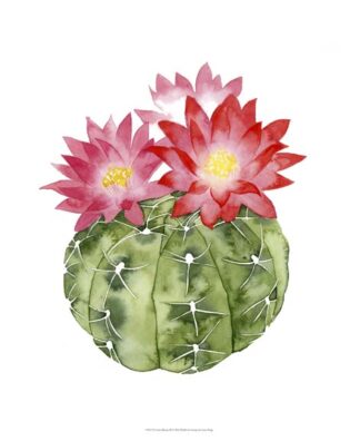 Cactus Bloom III