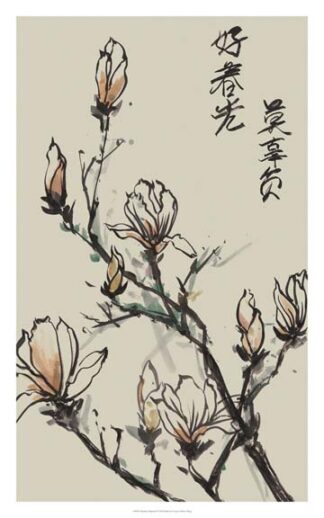 Mandarin Magnolia I