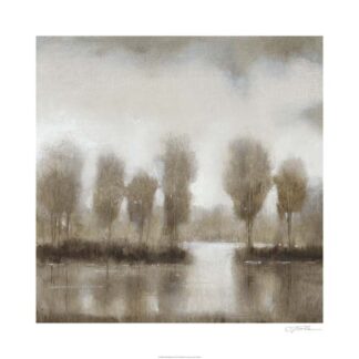 Subtle Reflection II