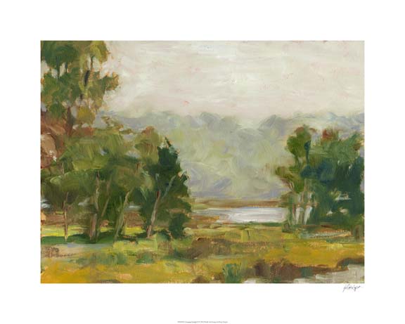 Changing Sunlight II