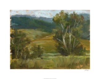 Changing Sunlight IV