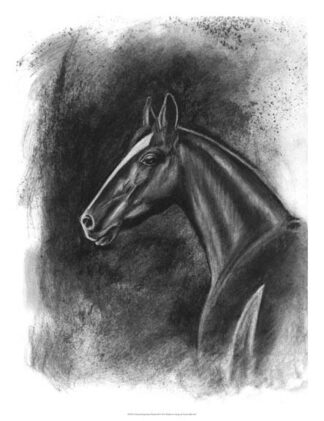Charcoal Equestrian Portrait II