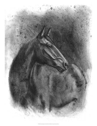 Charcoal Equestrian Portrait III