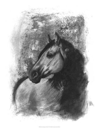 Charcoal Equestrian Portrait IV