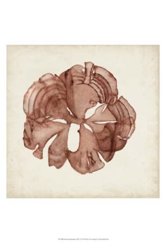 Seaweed Specimens XIV