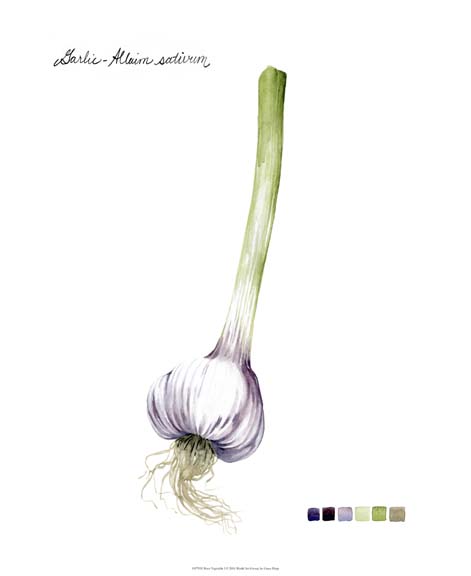 Root Vegetable I