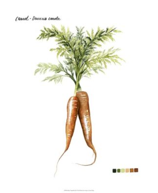 Root Vegetable III