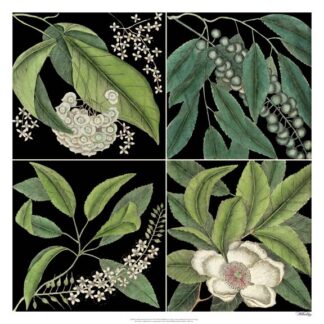 Graphic Botanical Grid I