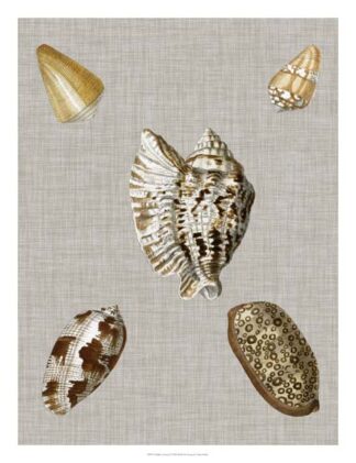 Shells on Linen I