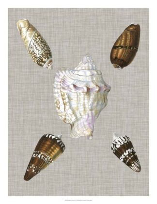 Shells on Linen II