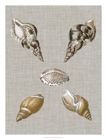 Shells on Linen IV