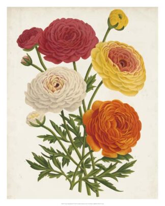 Vintage Garden Beauties II