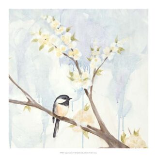 Spring Chickadees II