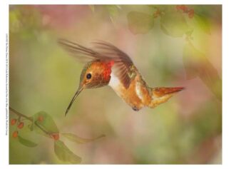 The Flower Dance III