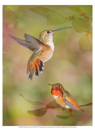 The Flower Dance XVI