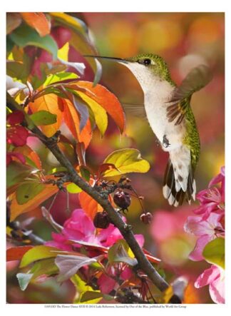 The Flower Dance XVII