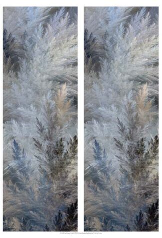 2-Up Pampas Panels II