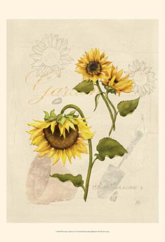 Romantic Sunflower I