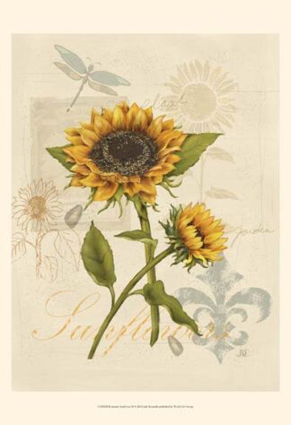 Romantic Sunflower II