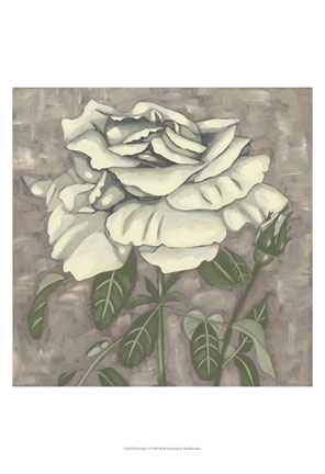 Silver Rose I