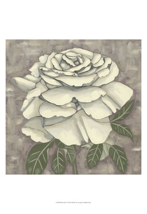 Silver Rose II