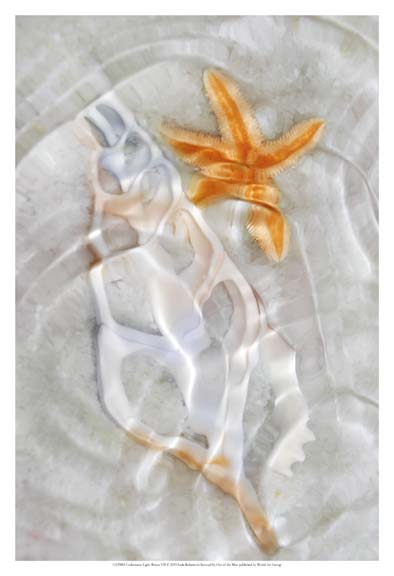 Underwater Light Waves VII