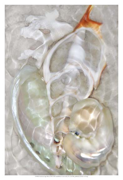 Underwater Light Waves VIII