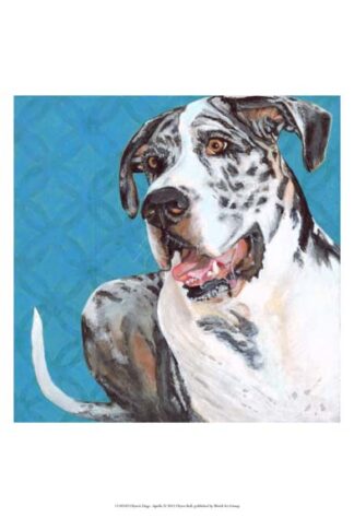 Dlynn's Dogs - Apollo