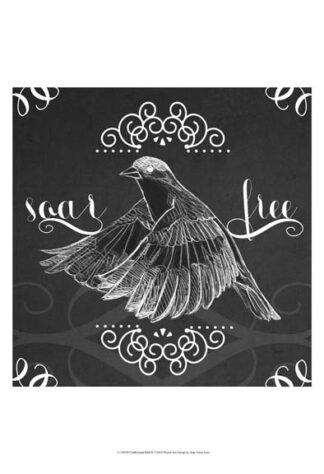 Chalkboard Bird II