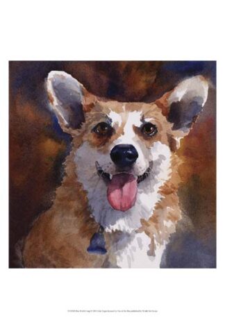 Ben Welsh Corgi