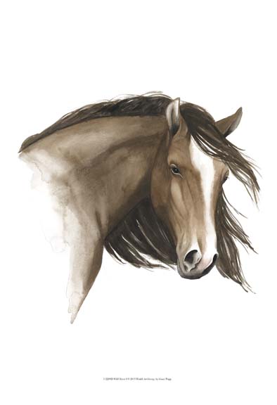 Wild Horse I