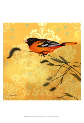 Oriole & Cartouche I