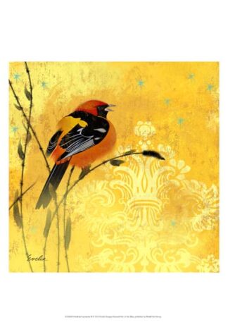 Oriole & Cartouche II