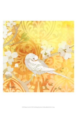 Budgie & Cartouche II