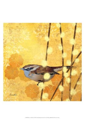 Wren on Yellow I