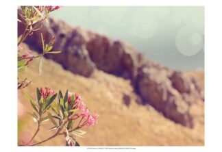 Flowers in Paradise I