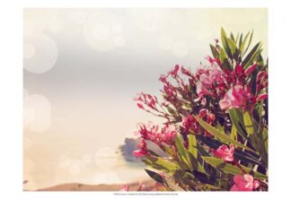 Flowers in Paradise II