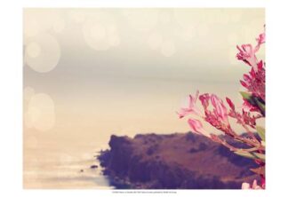 Flowers in Paradise III