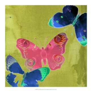 Saturated Butterflies II