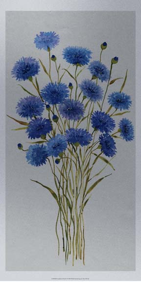 Cornflower Patch I