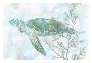 Watercolor Sea Turtle II