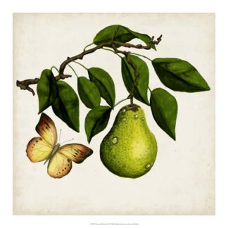 Fruit with Butterflies I