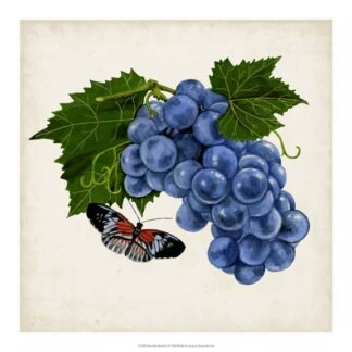 Fruit with Butterflies II