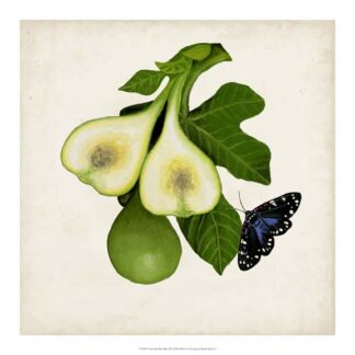 Fruit with Butterflies III