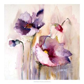 Plum Poppies I