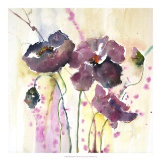 Plum Poppies II