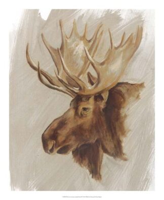 Western American Animal Study II