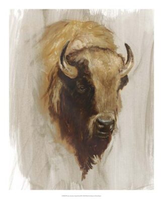 Western American Animal Study III